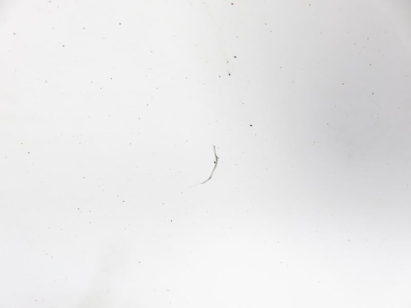 фото №9, Дверь правое задние vivaro trafic ii lift primastar