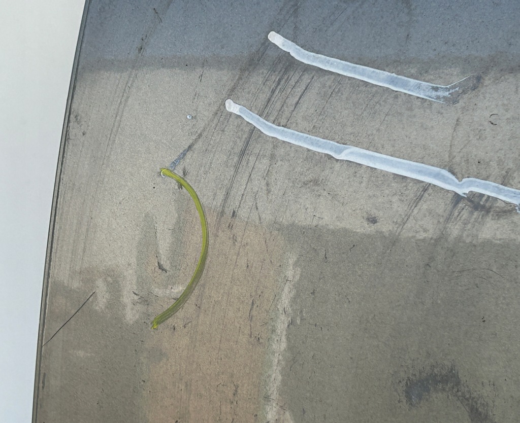 фото №5, Дверь левая задняя задние audi a4 b7 sedan