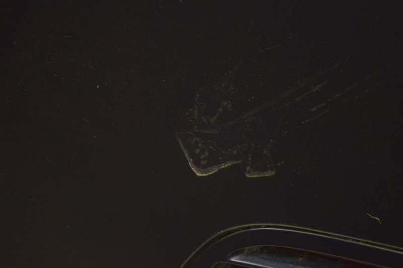 фото №8, Капот крышка двигателя granatowa mercedes cls w219 c219 04-10