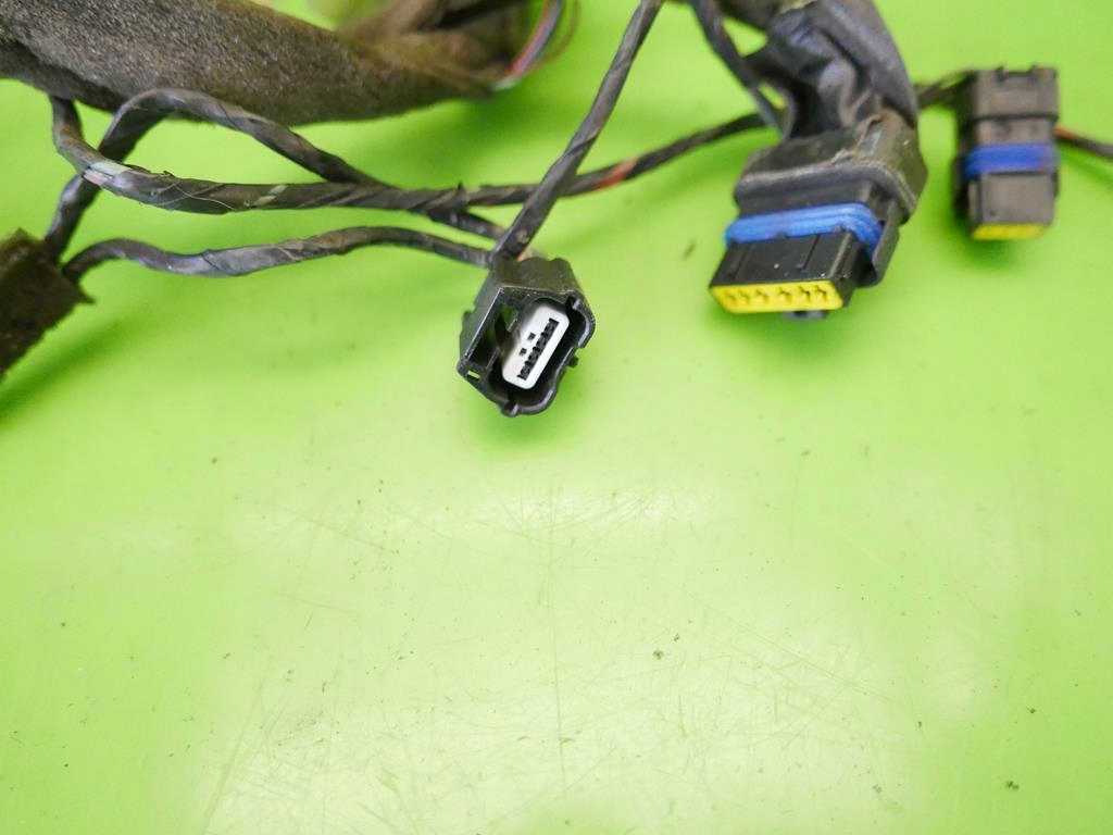 фото №9, Жгут электропроводка дверь правая задняя renault scenic ii