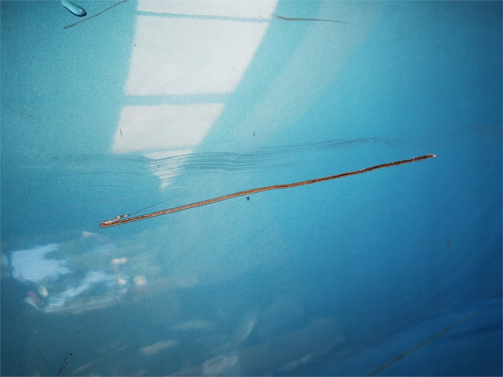 фото №5, Mini r56 r57 06-11 двері ліва повний демонтаж