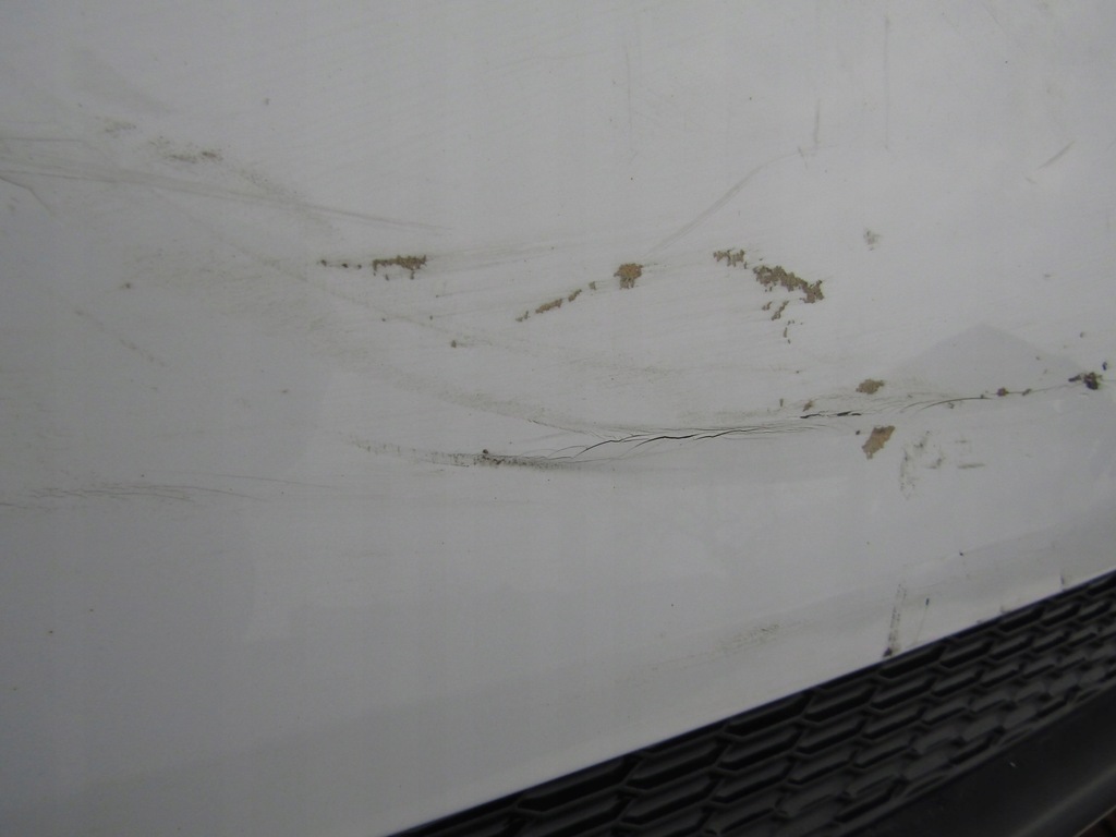 фото №7, Бампер audi tt 8s 14-18 задняя pdc s-line