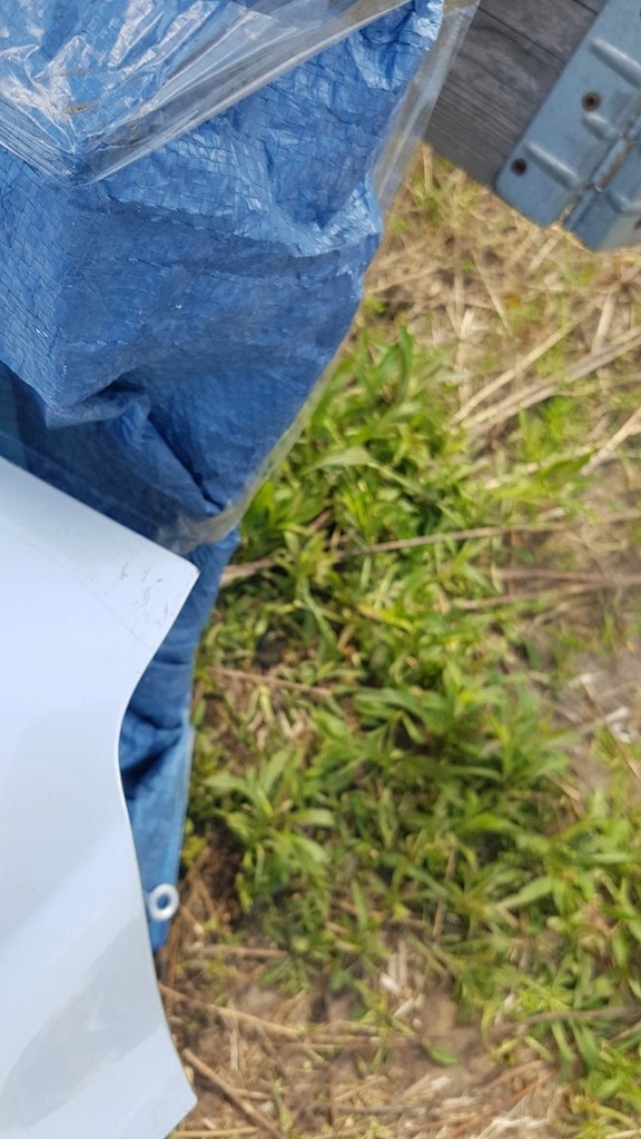 фото №9, Крышка багажника багажника peugeot 508 i sedan