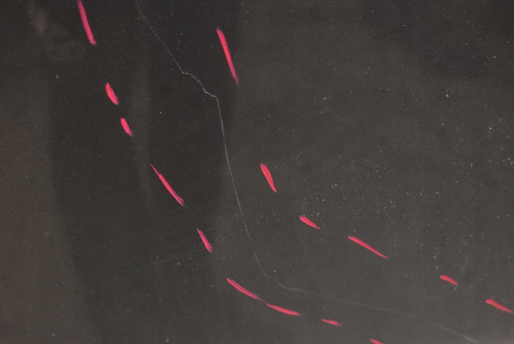 фото №9, Капот крышка двигателя графитовая audi q5 8r lift 12-17