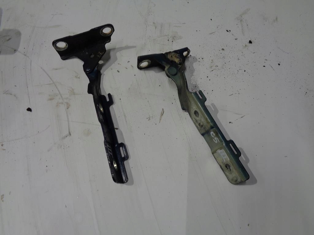 фото №1, Петли капот citroen c5 iii x7