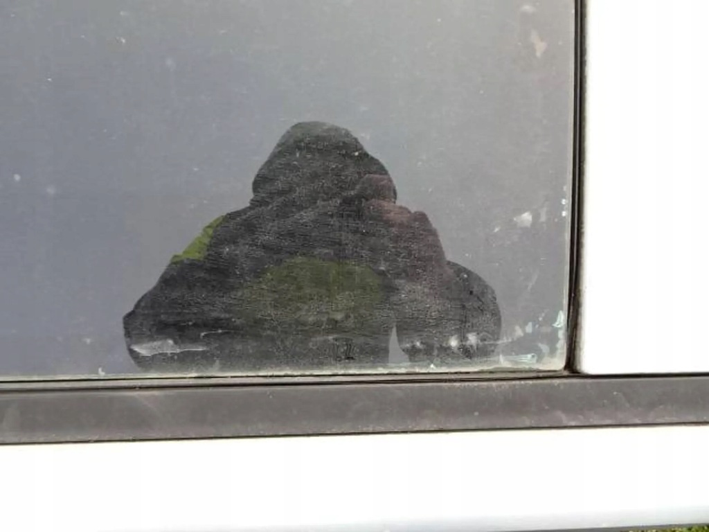 фото №9, Крыша стеклянный панорама nissan qashqai j10 06-09r. k54 g