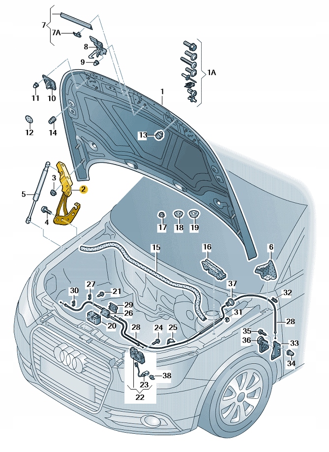 фото №1, Петля лівий передньої капот audi a1 aso оригінал