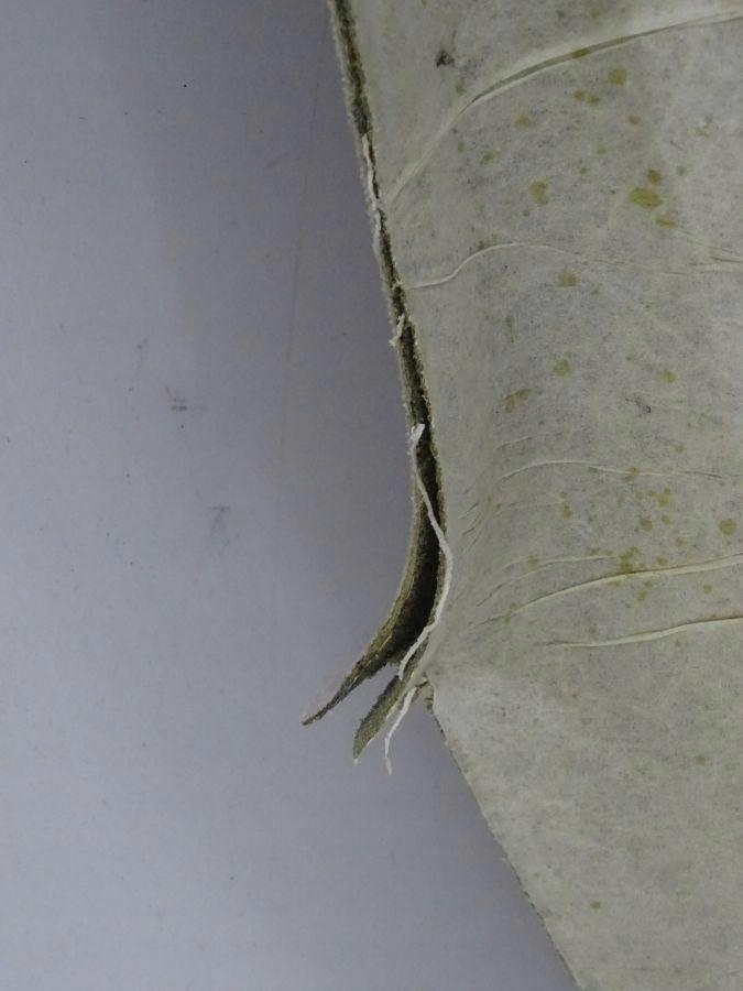 фото №8, Renault megane ii 02-08 потолок hb 5d 8200034943