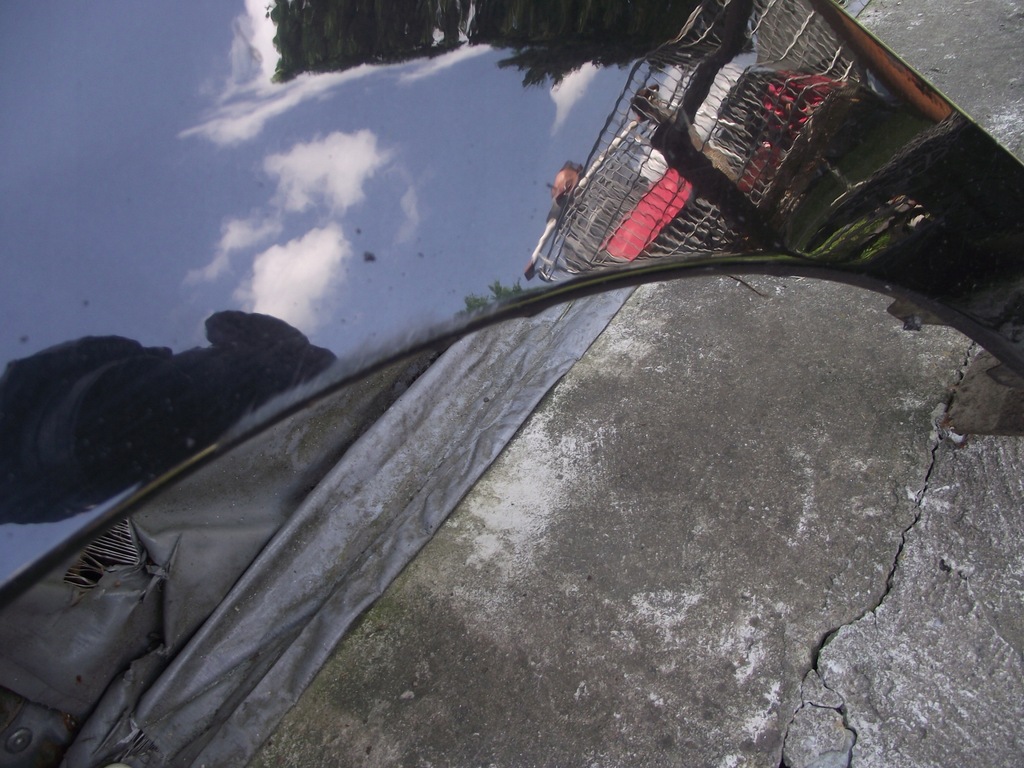 фото №9, Крыло левый перед передний dacia logan ii 13r nv676 mcv