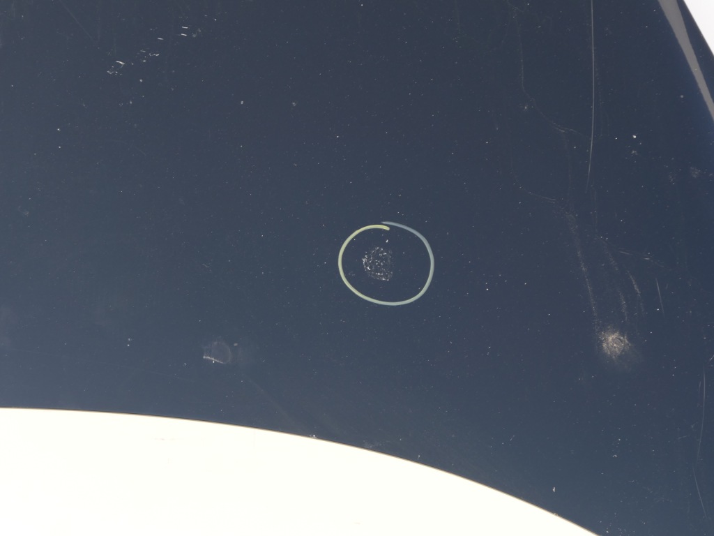 Капот кришка двигуна оригінал lak tegne renault scenic 3 09-11r. 11r. Київ