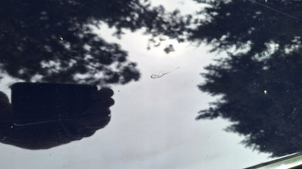 фото №6, Дверь левый перед audi a8 d2 lift lz5l