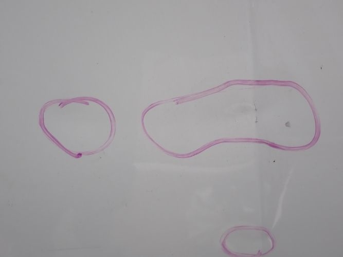 фото №7, Skoda octavia iv капот