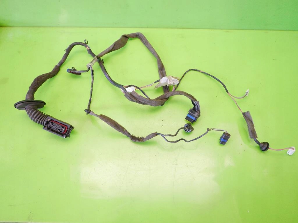 фото №2, Жгут электропроводка дверь правая задняя renault scenic ii