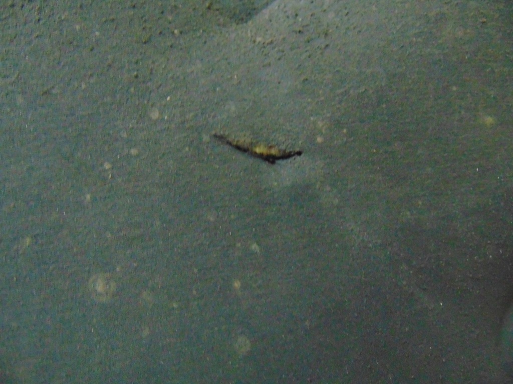 фото №9, Шумоизоляция шумоизоляция капот chevrolet tahoe ii 99-