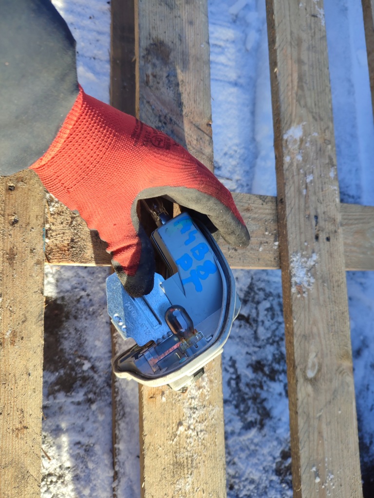 фото №5, Вкладиш лампи правий задня правий задній audi a4 b8 kombi