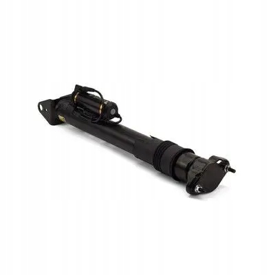 Амортизатор sk-2867 arnott Ціна