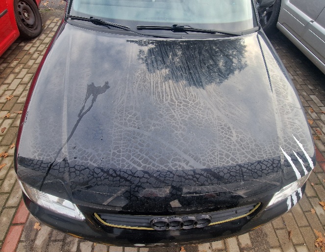 фото №1, Капот audi a3 8l 1999r