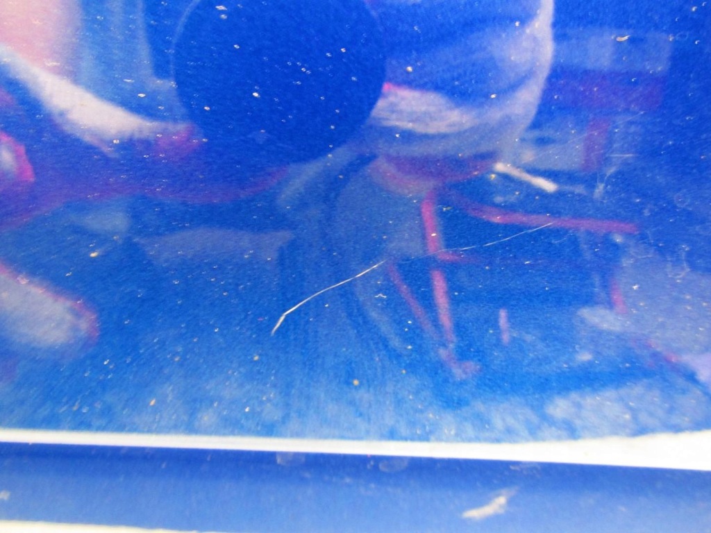 фото №5, Дверь передние правый перед erdd opel grandland x