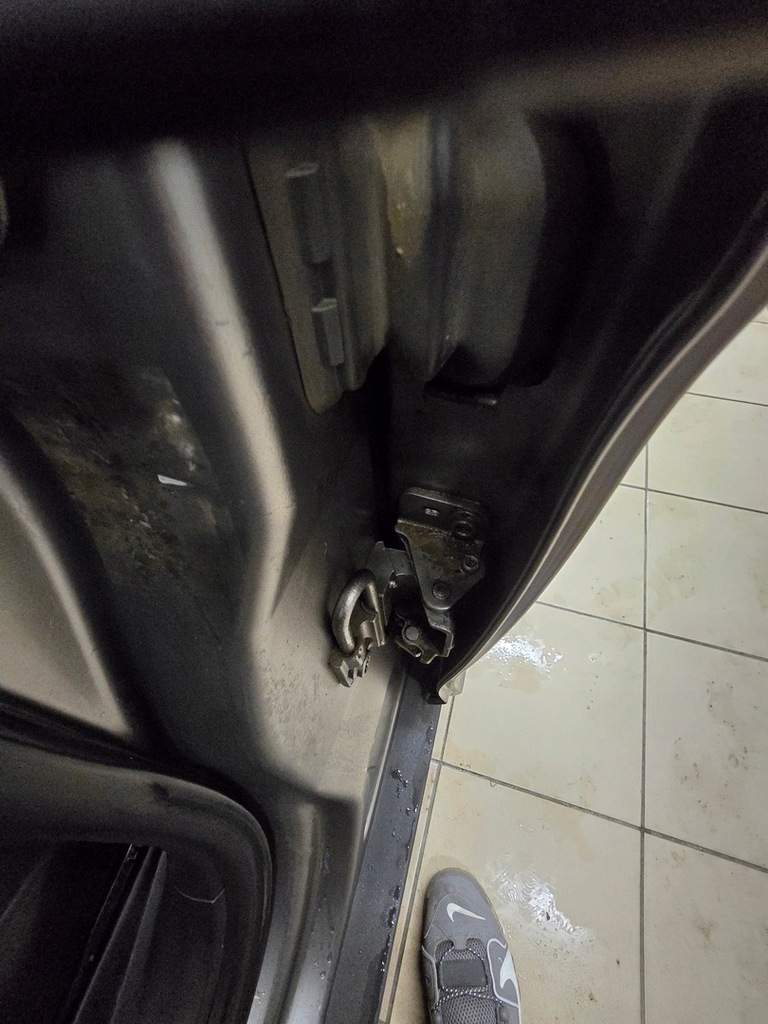 фото №14, Петля дверь seat altea seat altea xl 2003-2016 перед задняя цвет lc9z i ls1s