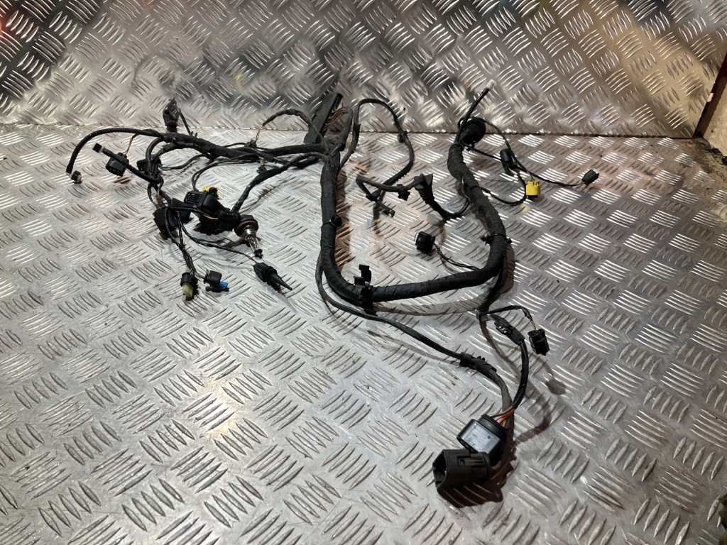 фото №1, Жгут лонжерон правой bmw x1 f48 2.0 d