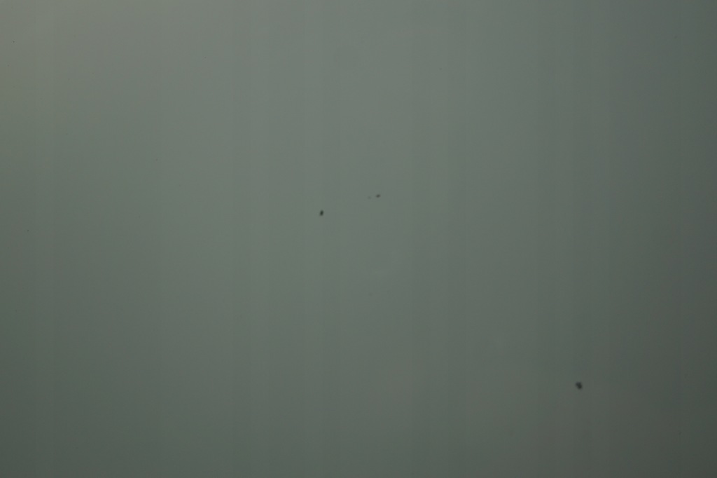 фото №11, Двері лівий перед nissan juke f15 lift 326z