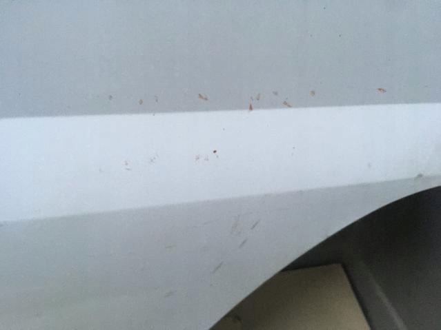 фото №7, Двері правий перед ford transit 06-12 повний