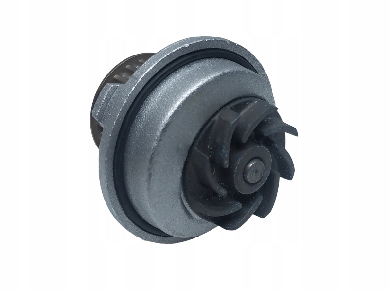 фото №12, Насос wody dolz o128 1334038