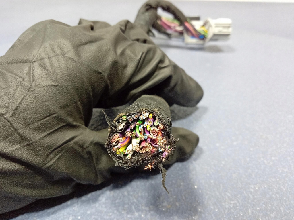 фото №4, Ford mustang mach-e колодка штекер стойка дверь левый перед