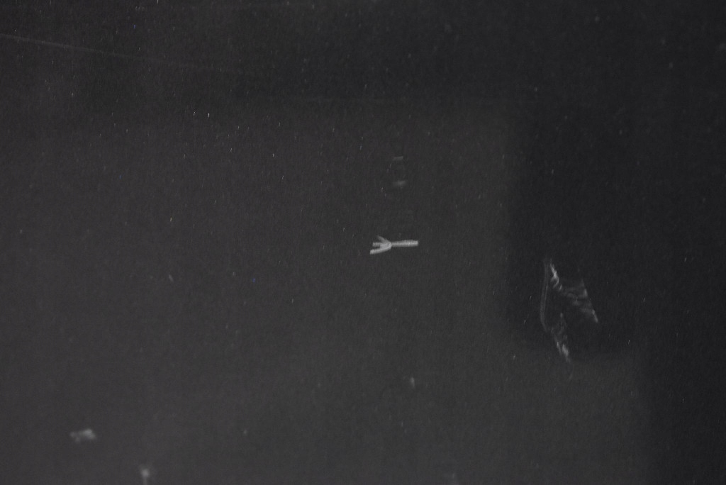 фото №8, Двері праве задня задні сірі mazda 2 ii de 5d hb 07-10