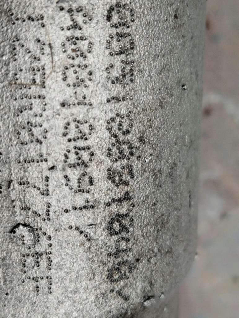 фото №7, Рулевая рейка трансмиссия bravo ii trw a0010117