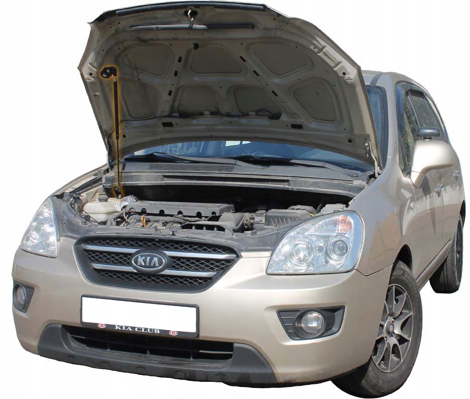 фото №1, Амортизатор пружина кришки кришки перед kia carens 3