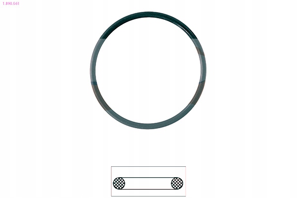 фото №2, Eps 1.890.561 прокладка, термостат