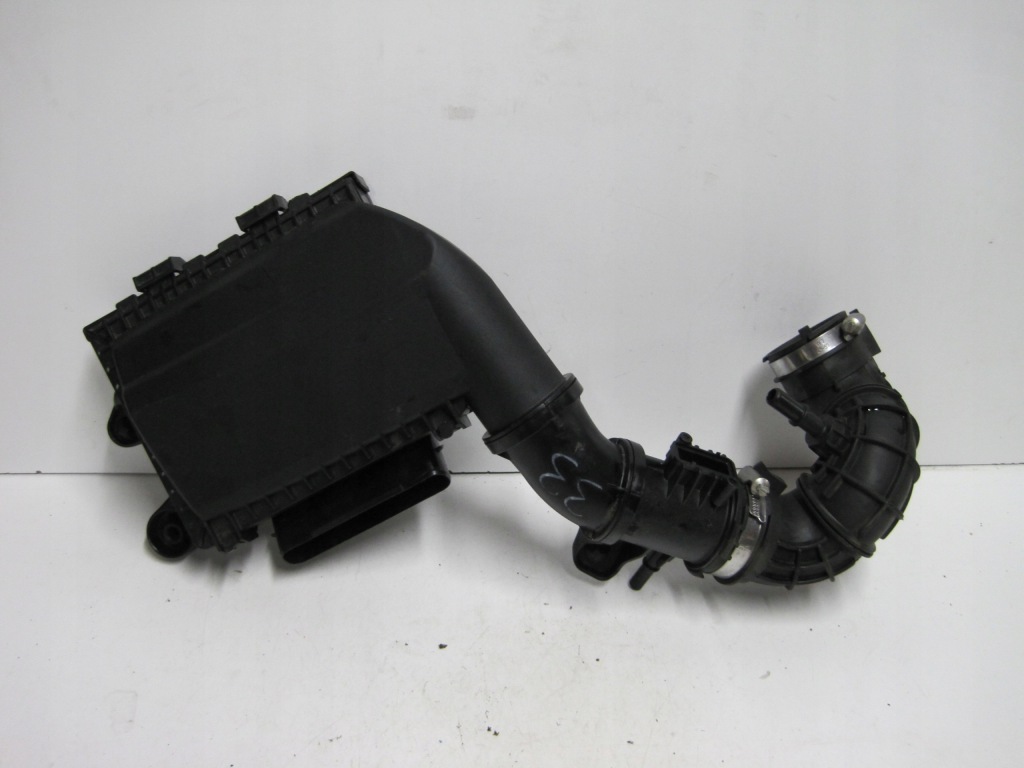 Купити Корпус фільтра повітря renault austral 1,2e-tech 165003299r