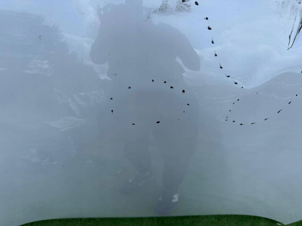 фото №10, Капот renault kadjar 15-22r 651229810r