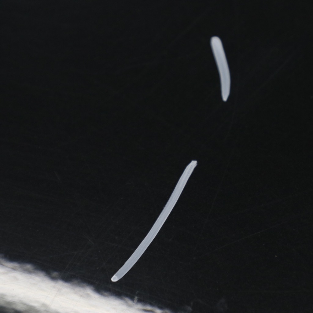 фото №10, Mini countryman r60 дверь левый задняя absolute black