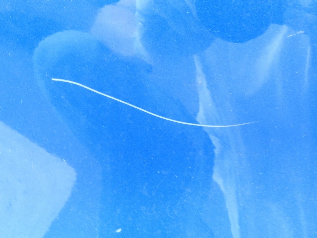 фото №8, Fiat sedici 06-12 zcg дверь левый задняя