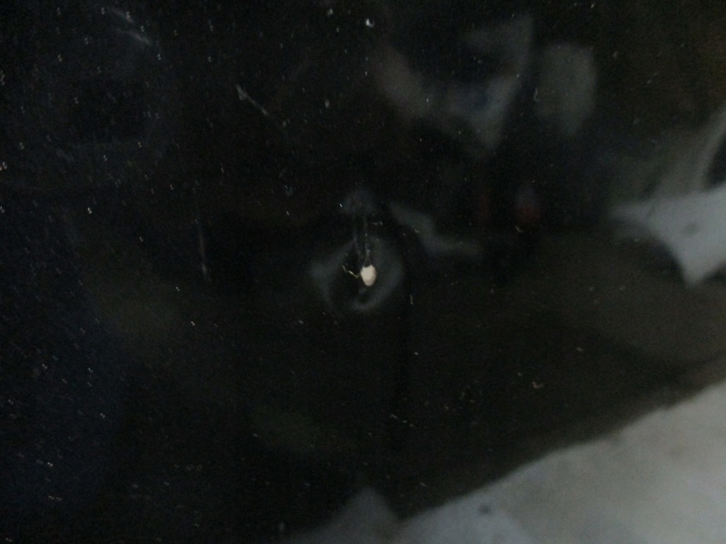 Капот ford c - max 03-07r Оригінал