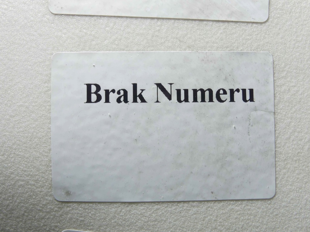 фото №10, Коллектор всасывающий chrysler sebring ii 00-06 2,0 2,4