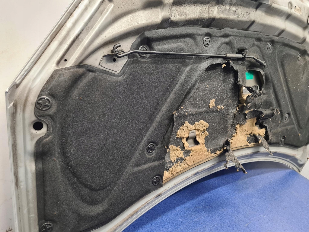 фото №10, Renault koleos i капот передняя tekxa