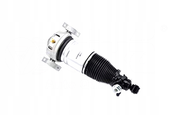 фото №1, Vika 46160000701 амортизатор пневматичний