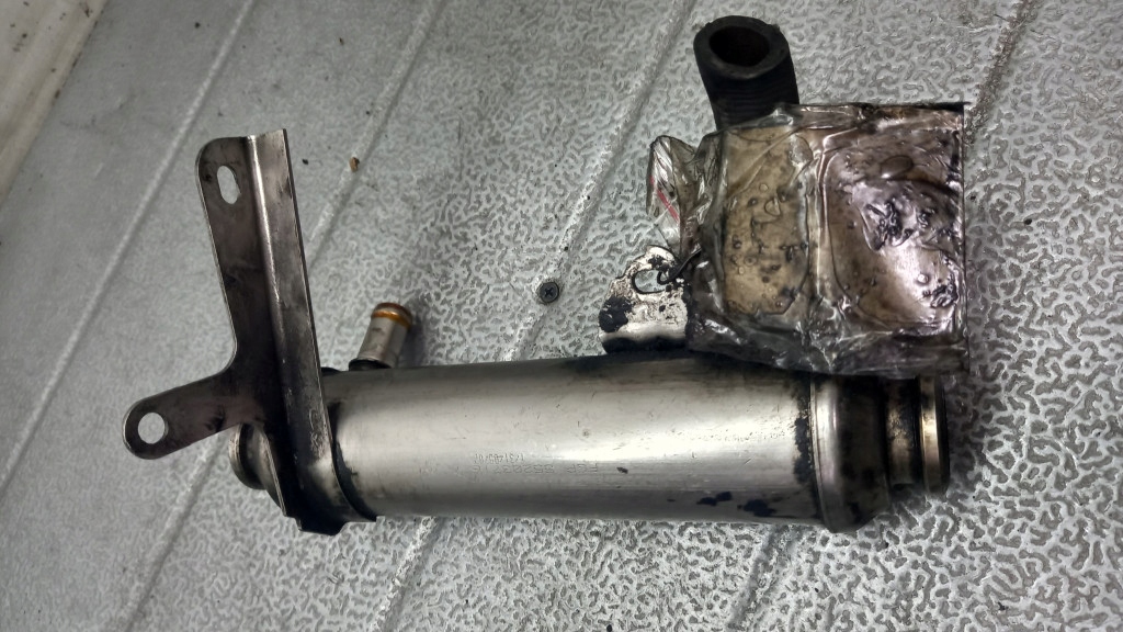 фото №1, Радіатор egr fiat croma 55203716