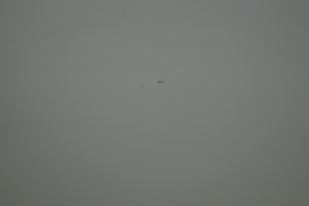 фото №7, Двері ліва лівий перед audi r8 420 ly9c org lak