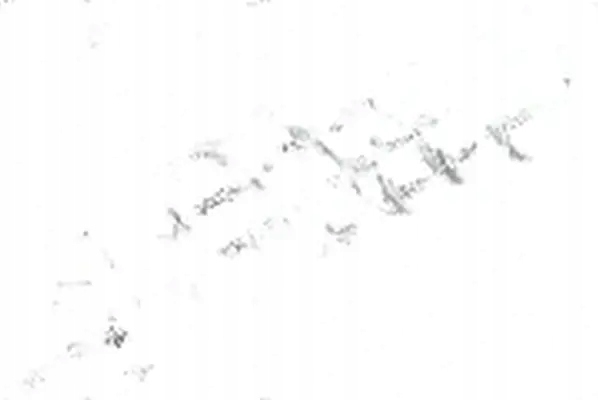 фото №1, Пружина подвеска задняя 4295134 lesjöfors skoda