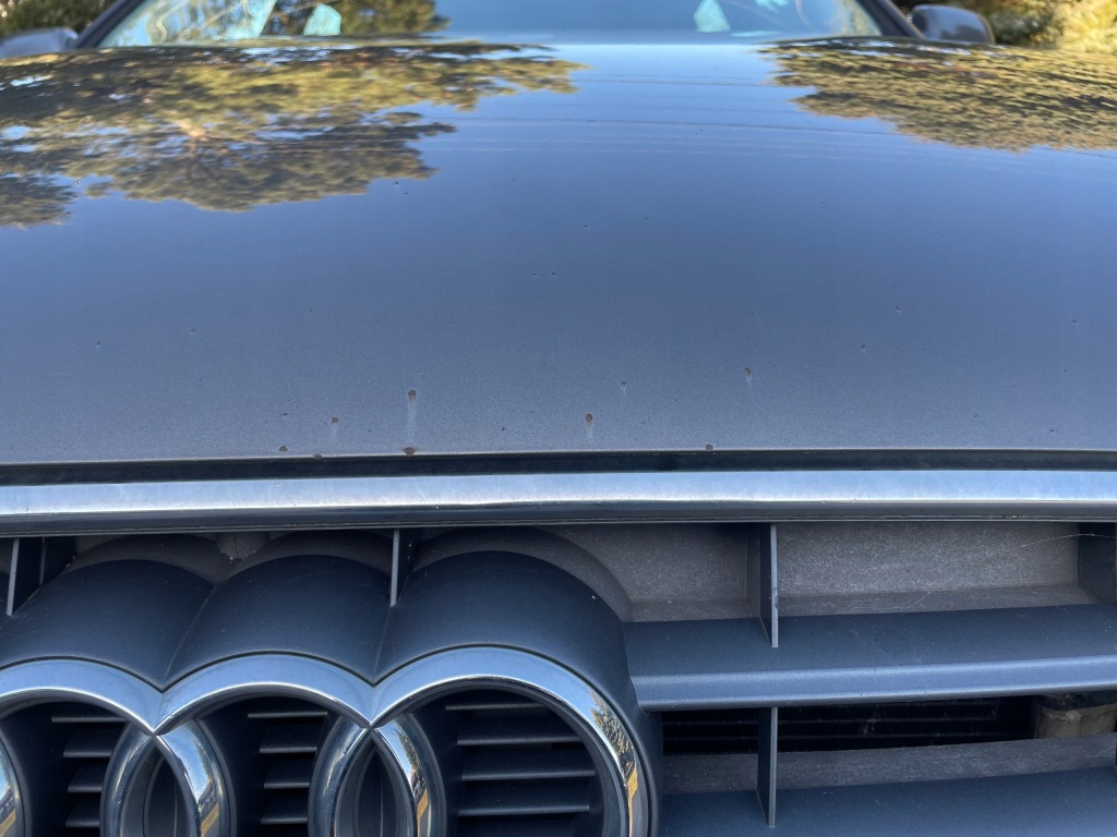 Купить Капот крышка двигателя audi a4 b8 рестайлинг  2011-2015 ly1p