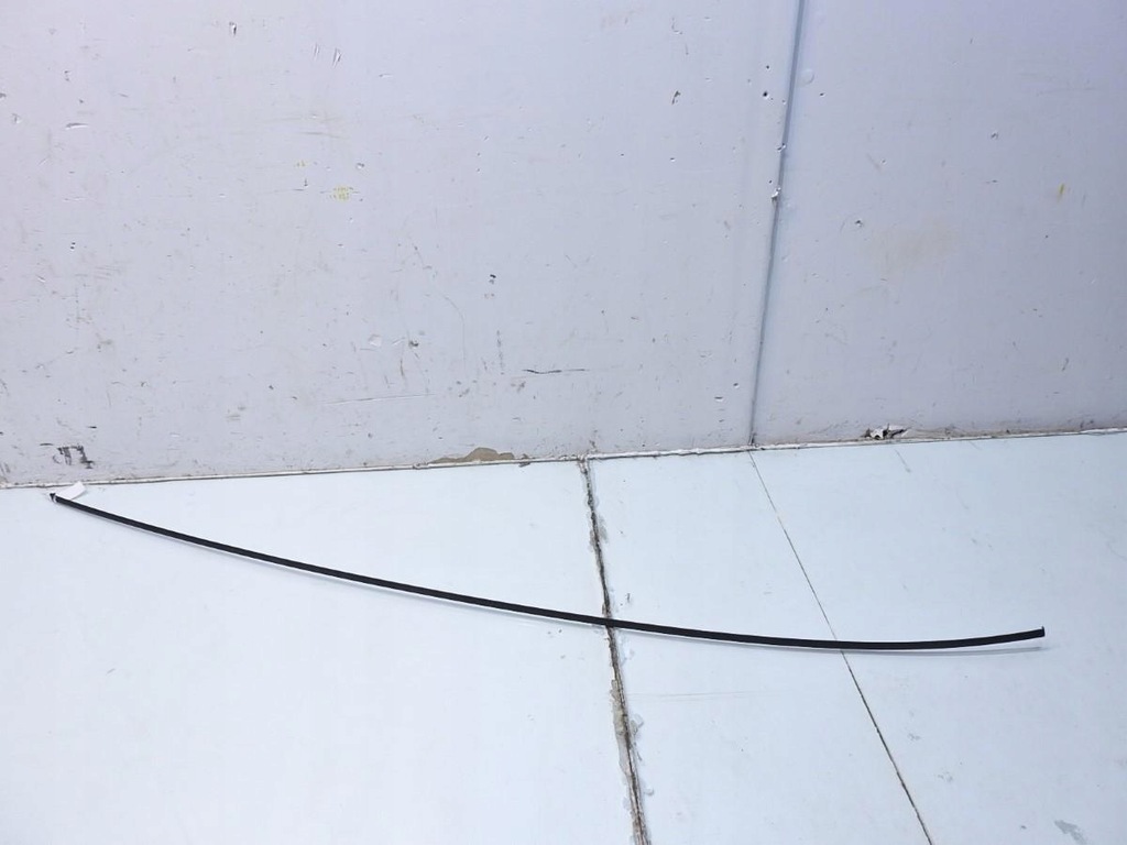 фото №7, Молдинг дахова дах ліва renault laguna iii 738510001r