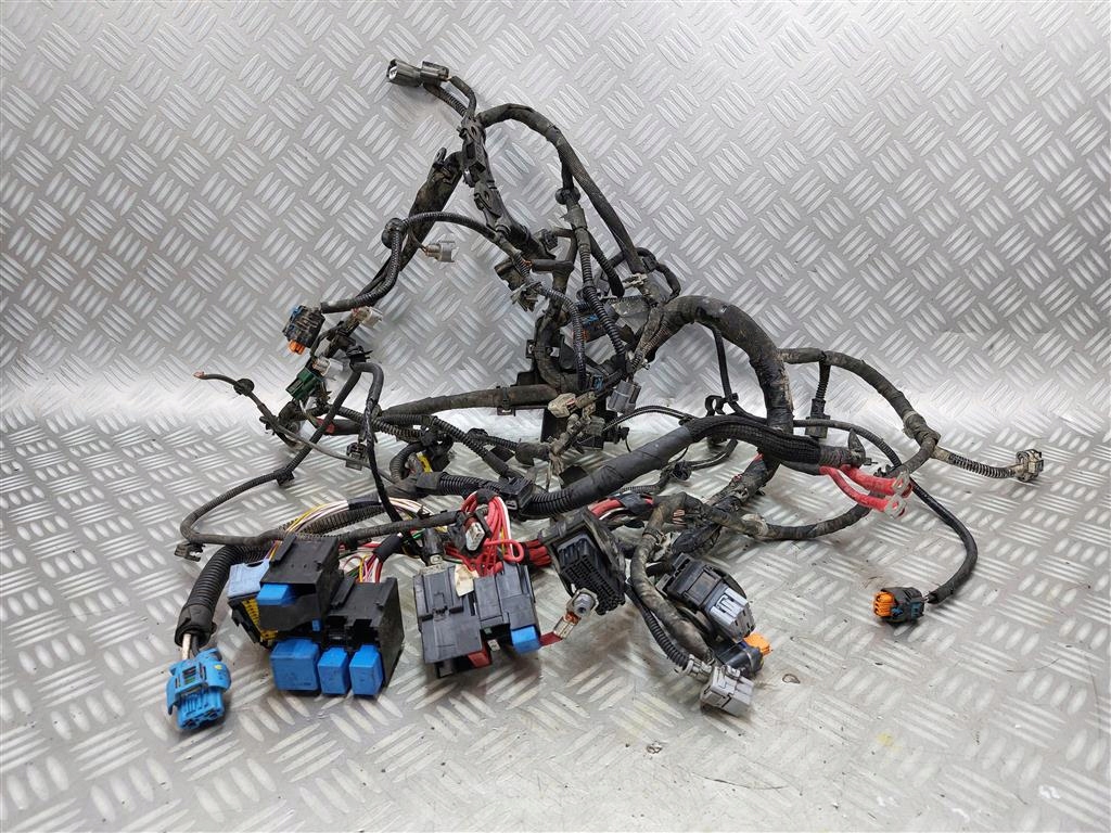 фото №1, Джгут електропроводка двигуна dacia duster ii 1.0 tce 2017-