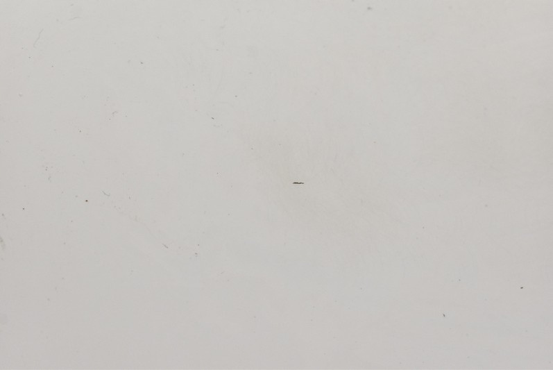 фото №6, Дверь правое перед передние lb9a skoda citigo 3d 11-17