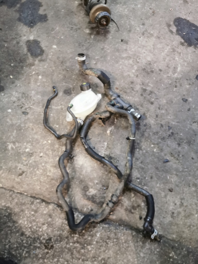 фото №1, Шланг радіатора wody dacia sandero ii 1.0 sce