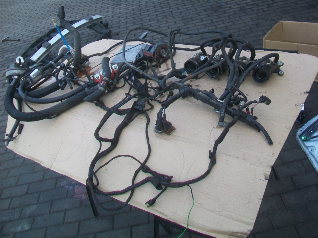 фото №10, Електропроводка газова sg 4 циліндри