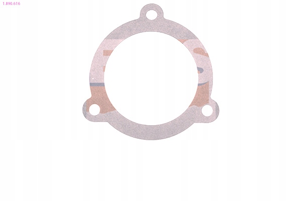 фото №2, Прокладка термостата eps